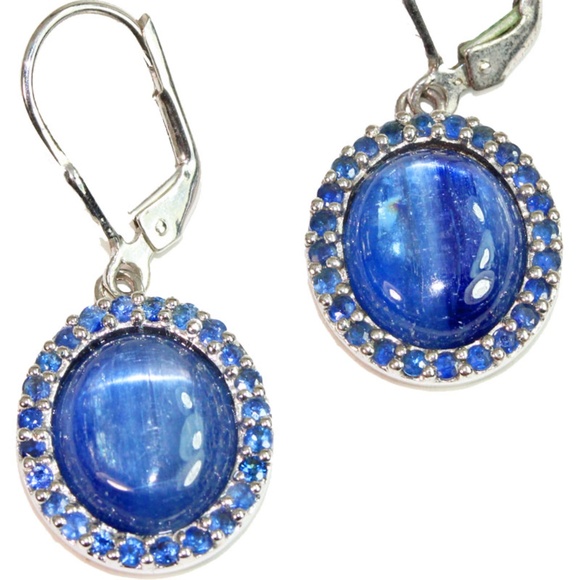 Himalayan Kyanite & Tanzanite Medley Earrings - Picture 1 of 1